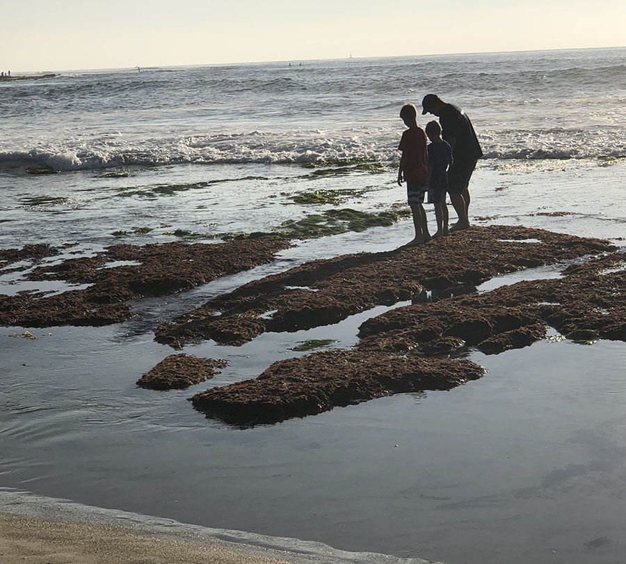 La Jolla Tide Pools